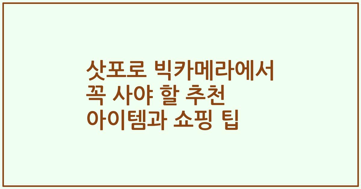 삿포로 빅카메라에서 꼭 사야 할 추천 아이템과 쇼핑 팁