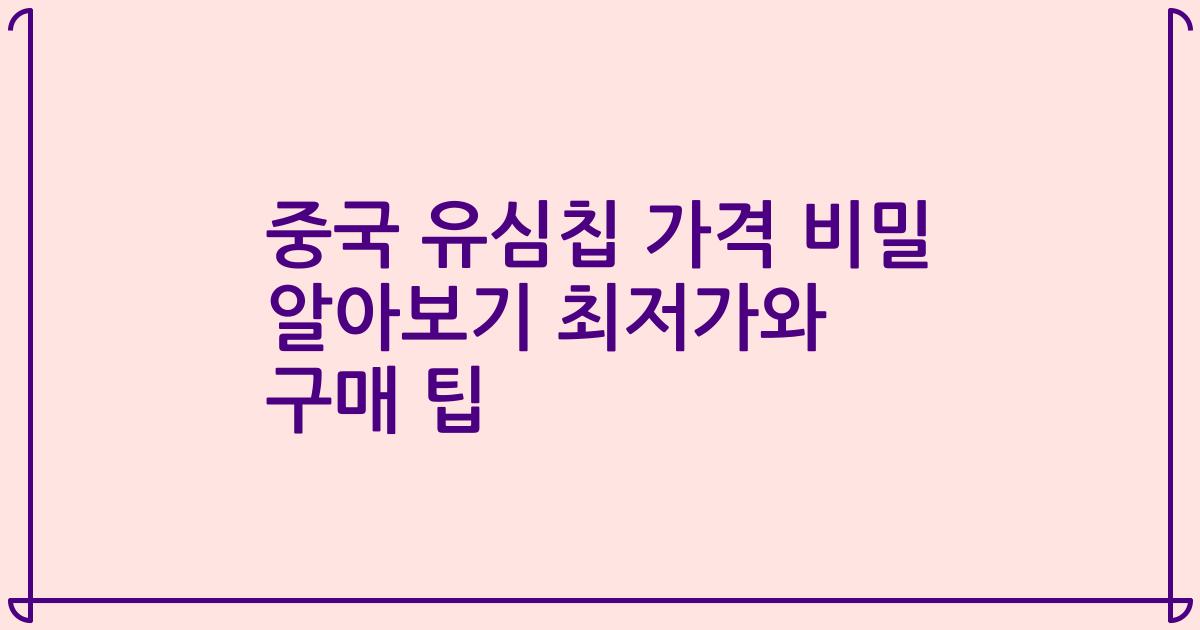 중국 유심칩 가격 비밀 알아보기 최저가와 구매 팁