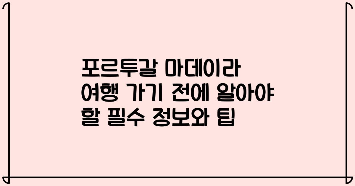 포르투갈 마데이라 여행 가기 전에 알아야 할 필수 정보와 팁