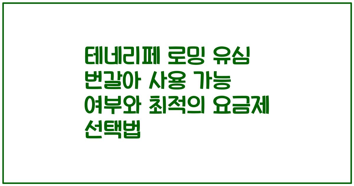 테네리페 로밍 유심 번갈아 사용 가능 여부와 최적의 요금제 선택법